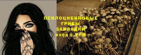 крисы Володарск