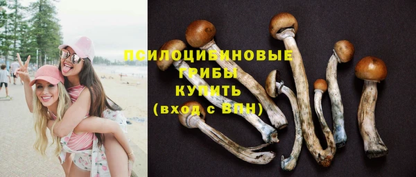 ГАЛЛЮЦИНОГЕННЫЕ ГРИБЫ Волосово