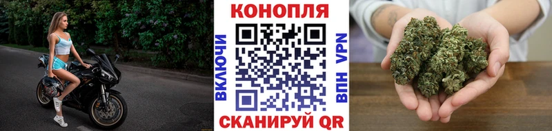 Конопля тримм  hydra рабочий сайт  Галич  как найти закладки 